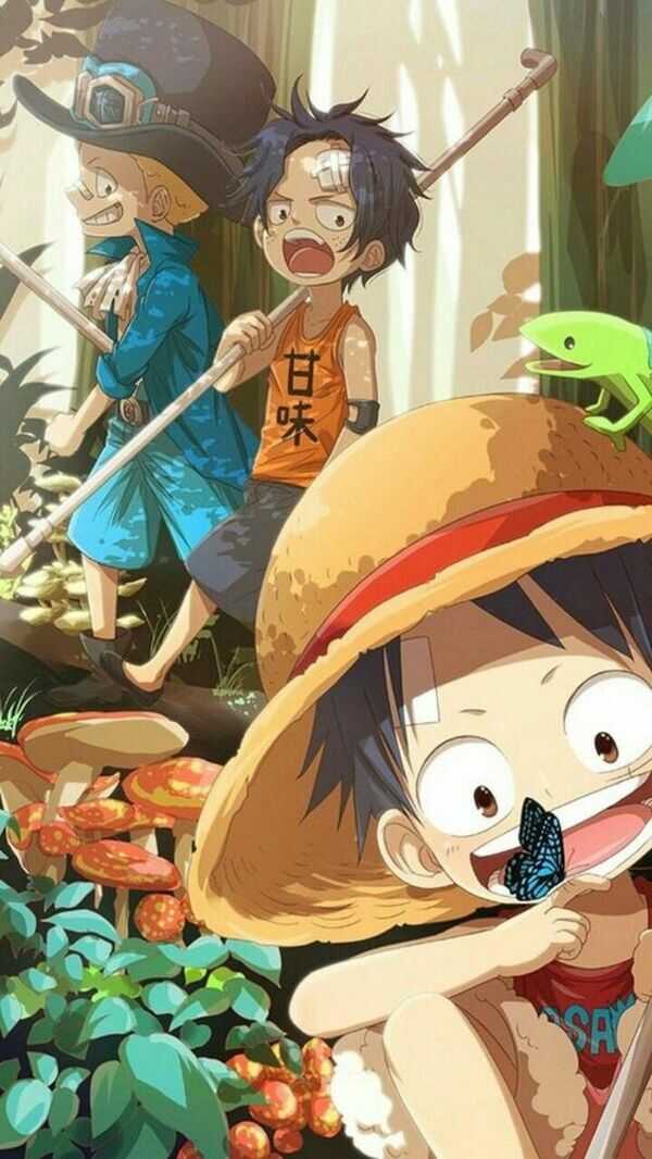 hình nền luffy cute