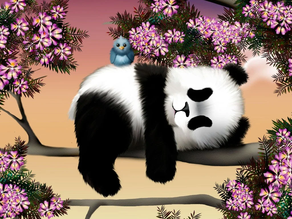 Hình ảnh chibi gấu trúc