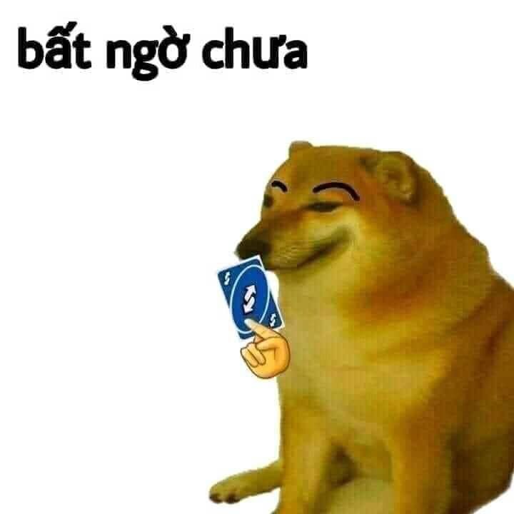 Hình ảnh meme bất ngờ hài hước