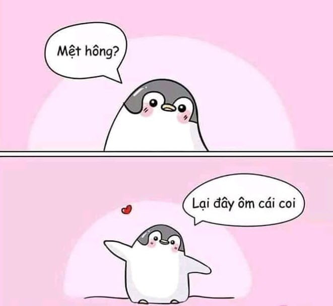 Meme cho ôm một cái cute