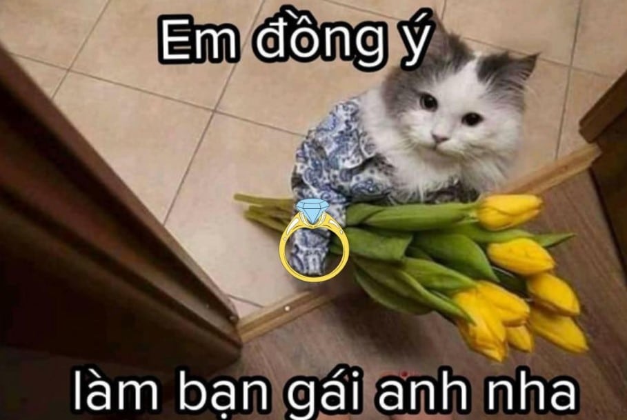 Meme tỏ tình